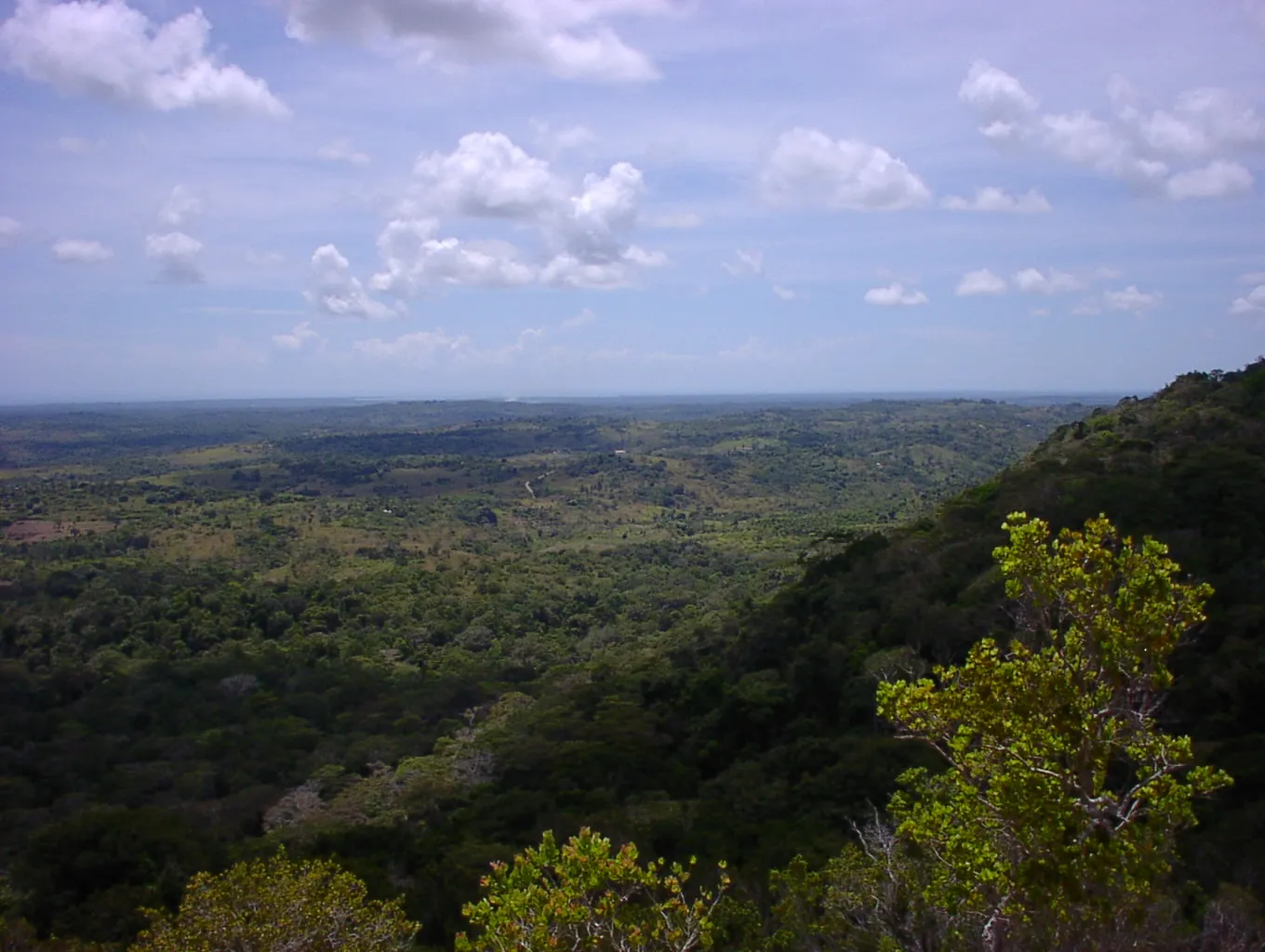 Mount Elgon Tour