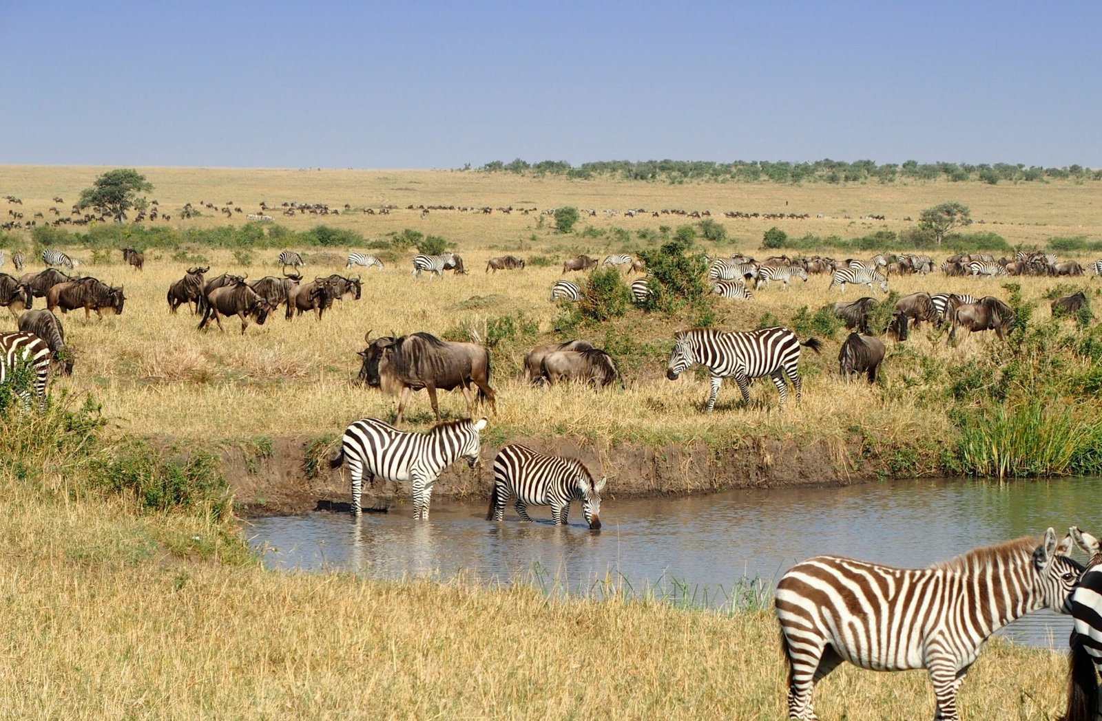 The beautiful Masai Mara