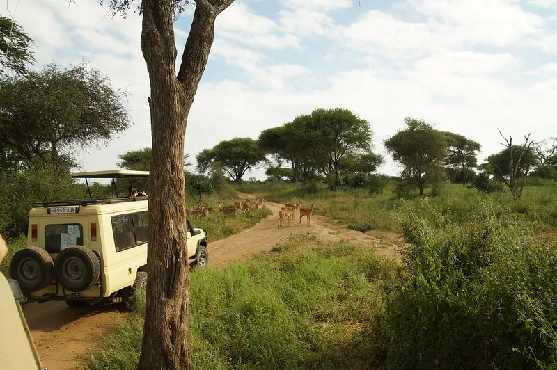 Explore Lake Naivasha, Lake Nakuru & Masai Mara