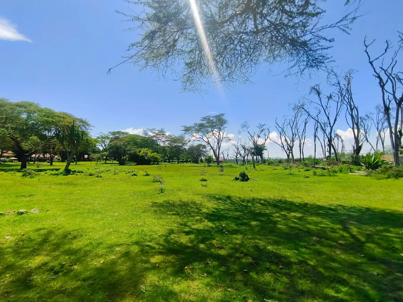 Lake Naivasha Country Club landscape