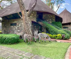 Lake Naivasha Sopa Lodge zebras