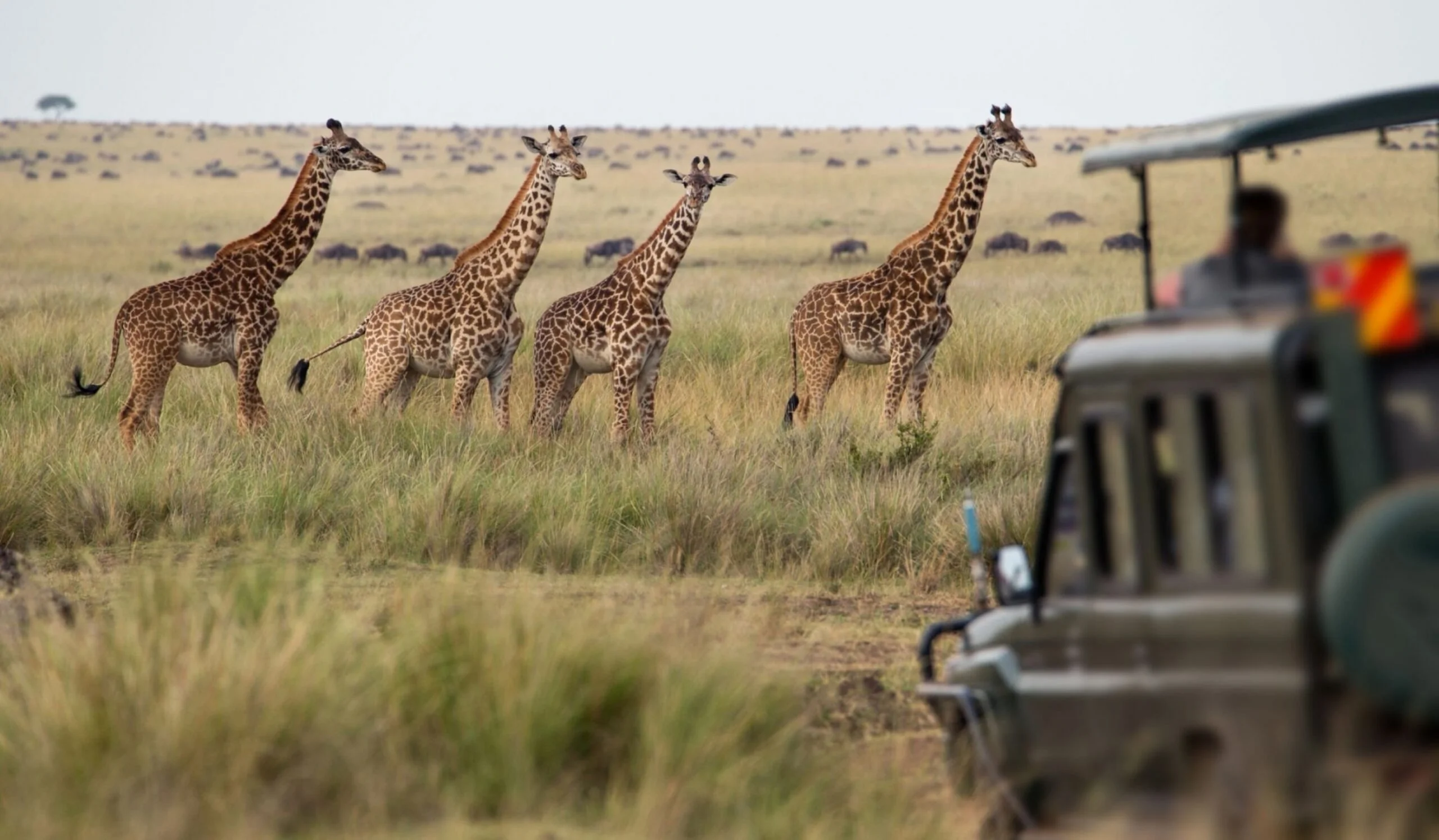 Tsavo East from Nairobi