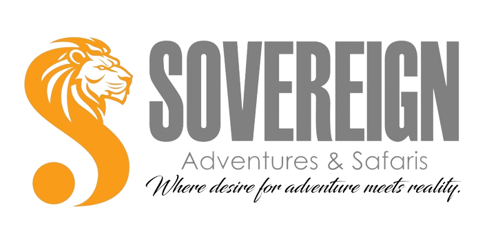logo-removebg-preview