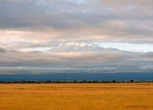 What Are the Best Luxury Safari Lodges in Kenya?
