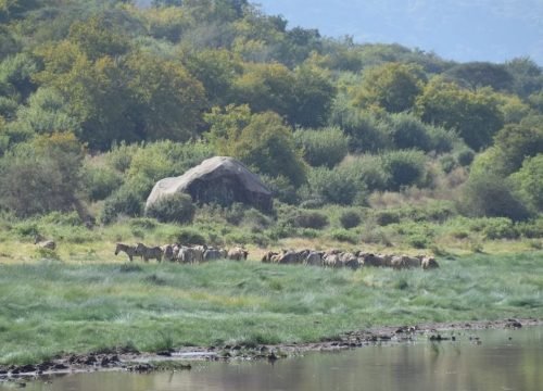 Is Masai Mara Worth Visiting?