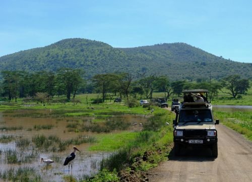 Multi-Country African Safari Holiday Packages