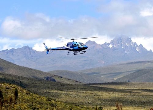 What Makes a Safari Unforgettable?