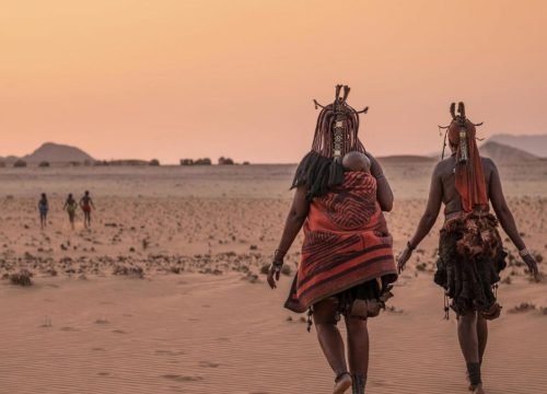 Complete Guide to the Great Migration in Masai Mara.