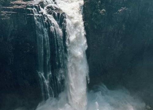 Are African Safaris Worth the Money?