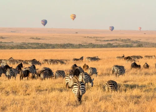 Can You Do a Safari and Beach Holiday in Kenya?