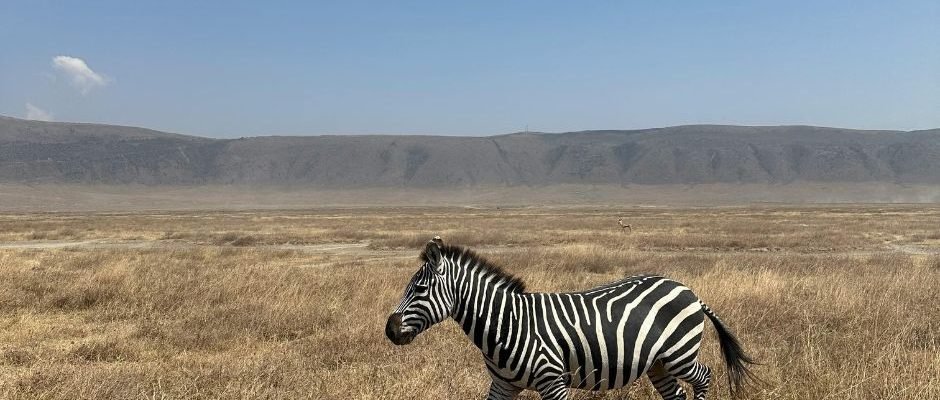 Across Savannahs to the Sea – An Epic Amboseli , Tsavo & Diani Escape