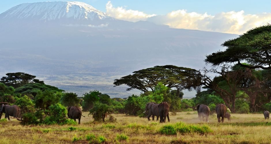 Flamingo Shores To Big Cat Country – A Masai Mara Safari Escape