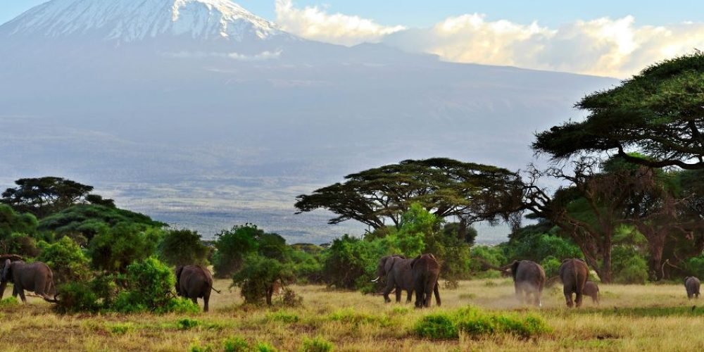 Amboseli (3)