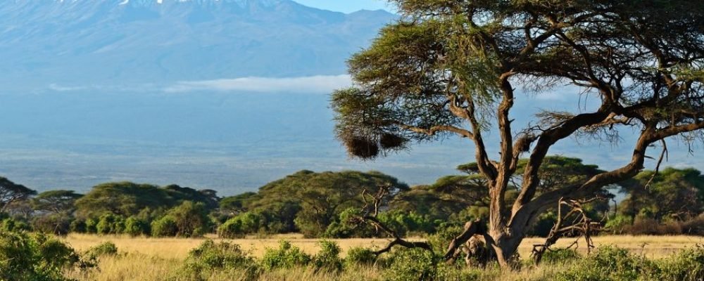 Amboseli (5)