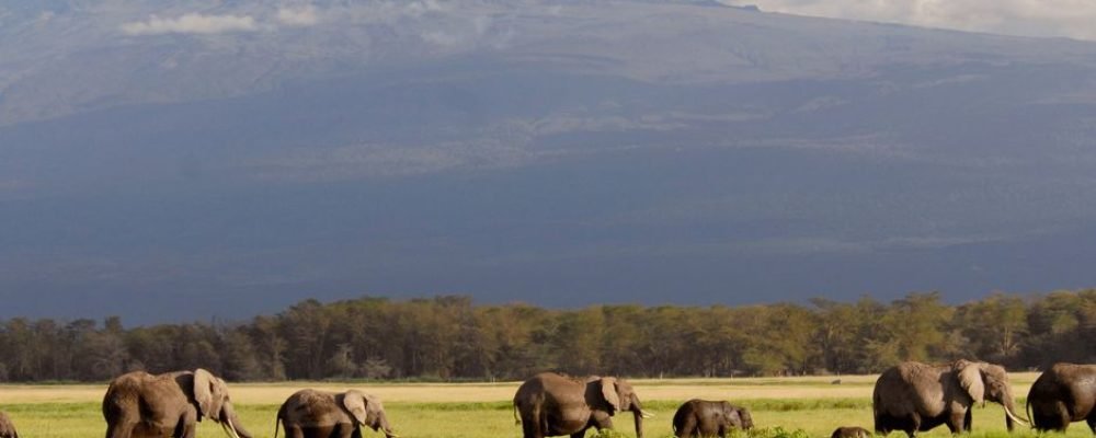 Amboseli National Park