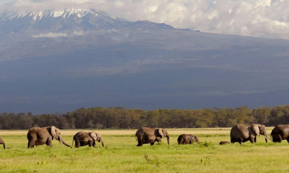Amboseli National Park