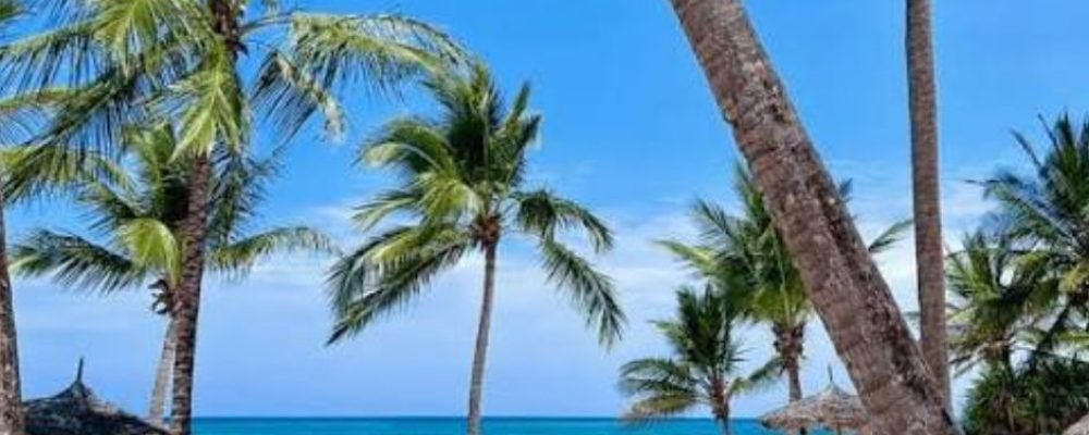Diani Beach