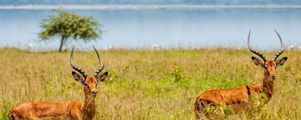 Matobo National Park