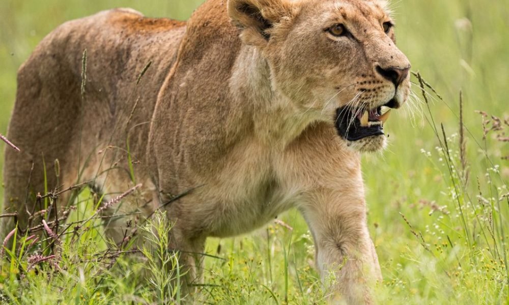 Untitled design - 2026-02-28T155423.052