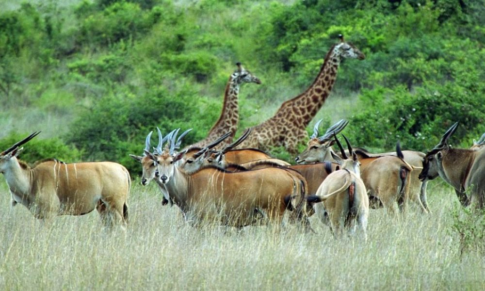 Untitled design - 2026-02-28T155501.162