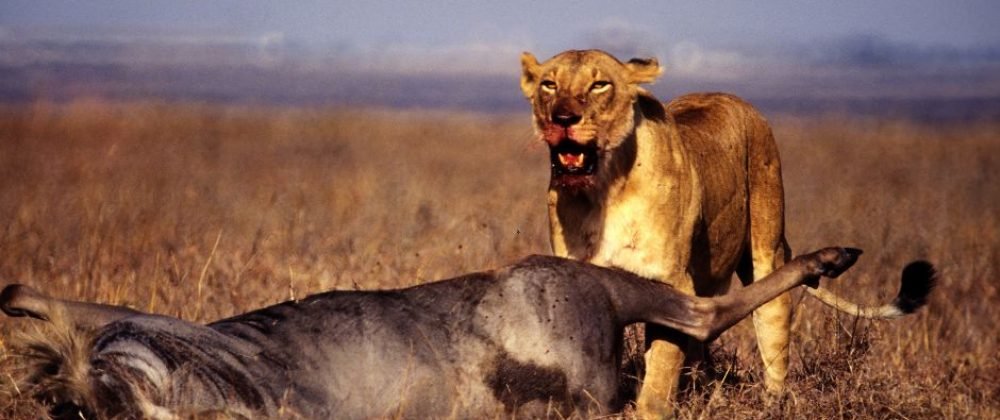 Untitled design - 2026-02-28T155942.961