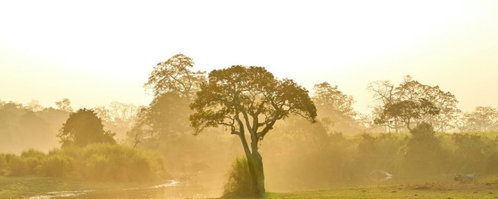 Untitled design - 2026-02-28T191631.238