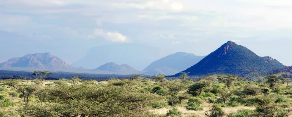 Untitled design - 2026-02-28T191641.653