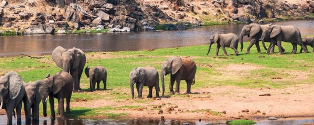 Zambia (17)