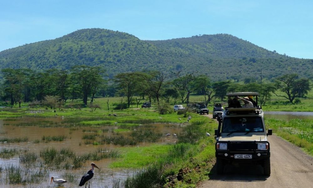 nakuru park (2)